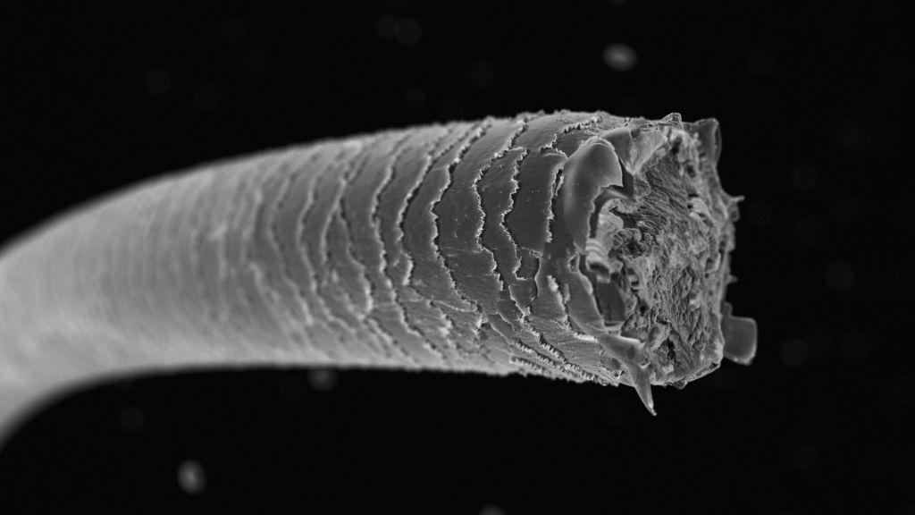 Así es cómo se ve un cabello dañado a través del microscopio.